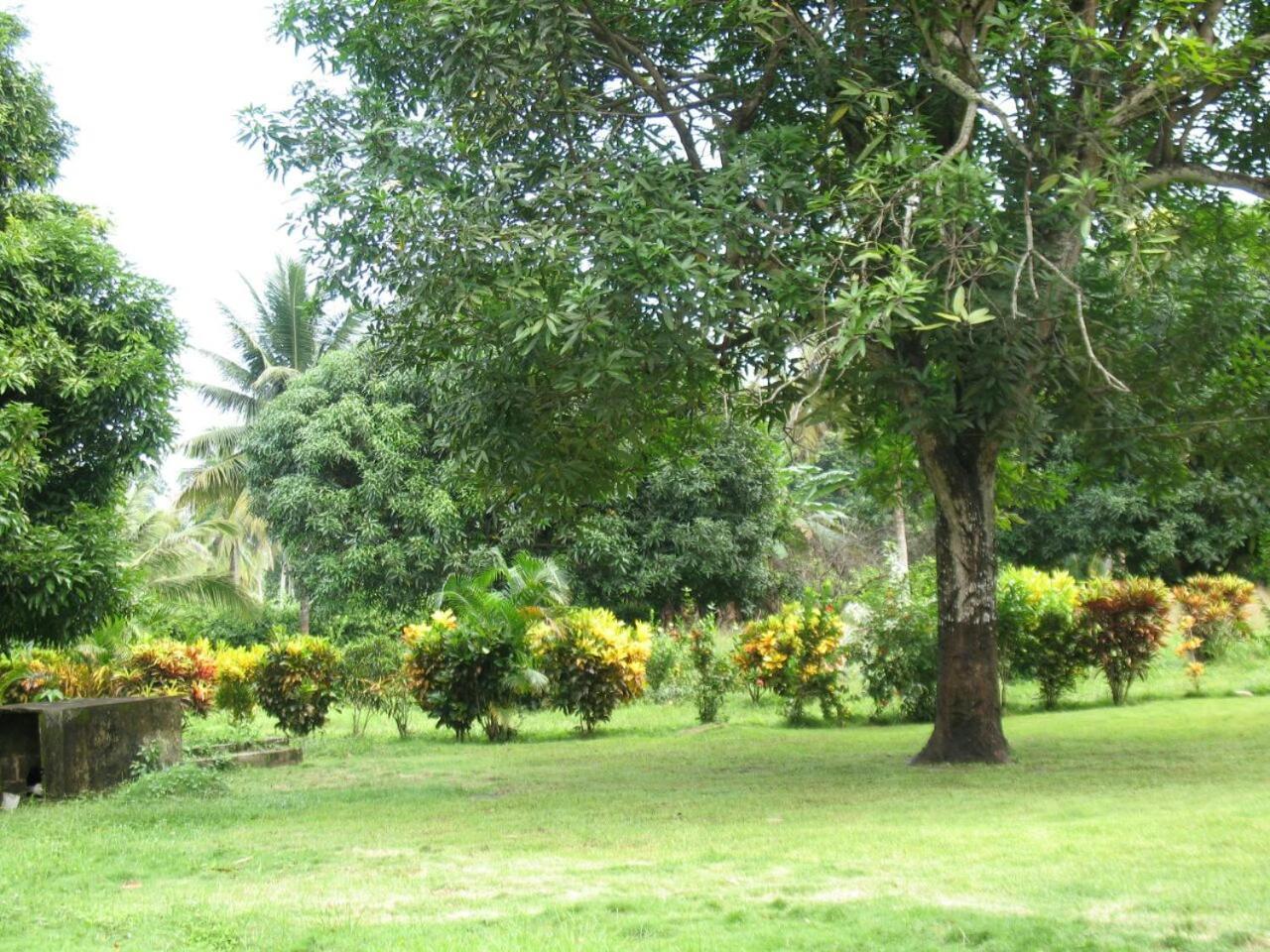 Eden * Guachaca